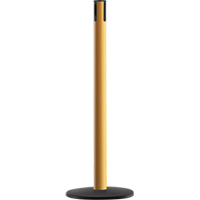 Advance TensaBarrier&reg; - Receiver Post, 36" High, Yellow Les Distributions ICE