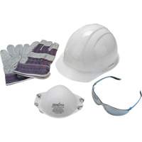 Worker's PPE Starter Kit Les Distributions ICE