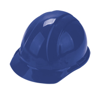 Worker's PPE Starter Kit Les Distributions ICE