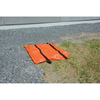 Drain Guards