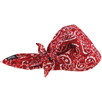 Bandeaux en triangle 6710CT de refroidissement en tissu de serviette Chill-Its, Rouge Les Distributions ICE