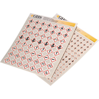 GHS Hazard Pictogram Label Variety Packs, Vinyl, Sheet, 1" L x 1" W Les Distributions ICE