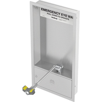 Poste de douche oculaire, Installation Montage mural, Bol Acier inoxydable Les Distributions ICE
