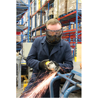 Z2300 Series Safety Shield Goggles, Clear Lens, Anti-Fog, Indirect Vent Les Distributions ICE