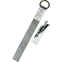 Miller&reg; Single Roof Anchor, D-Ring, Permanent Use Les Distributions ICE