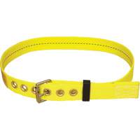 Delta Tongue-Buckle Belt Les Distributions ICE