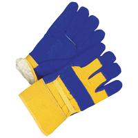 Ladies Fitter Gloves, Ladies, Grain Cowhide Palm, Cotton Inner Lining Les Distributions ICE