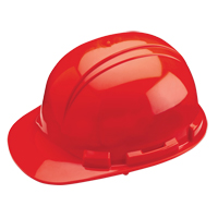 Casque de s&eacute;curit&eacute; Whistler de North, R&eacute;pond aux normes CSA type 1, Suspension Rochet, Non ventil&eacute; Les Distributions ICE