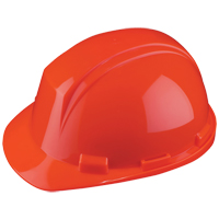 Casque Mont-Blanc de North, R&eacute;pond aux normes CSA type 2, Suspension Rochet, Non ventil&eacute; Les Distributions ICE