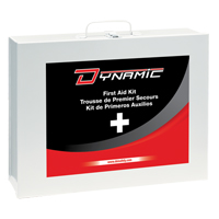 Dynamic General-Purpose Industrial First Aid Kit, Class 1 Medical Device, Metal B Les Distributions ICE