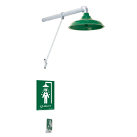 Freeze Protected Drench Shower, Wall-Mount Les Distributions ICE