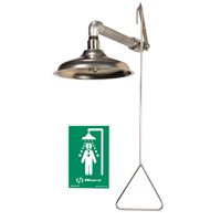 Drench Shower, Wall-Mount Les Distributions ICE
