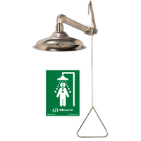 All Stainless Steel Drench Shower, Wall-Mount Les Distributions ICE