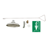 Concealed Drench Shower, Ceiling-Mount Les Distributions ICE