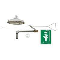 Drench Shower, Ceiling-Mount Les Distributions ICE