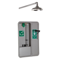 ADA Eye/Face Wash and Shower, Ceiling-Mount Les Distributions ICE