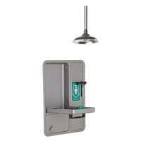 Eye/Face Wash and Shower, Ceiling-Mount Les Distributions ICE
