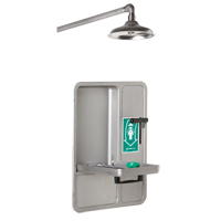 Eye/Face Wash and Shower, Ceiling-Mount Les Distributions ICE
