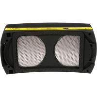 Speedglas Cartridge, P100 Filter, Pack of 1 Les Distributions ICE