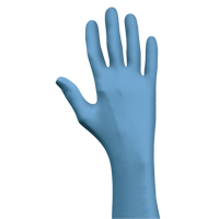 Gants N-Dex 7500PF, Moyen, Nitrile, 4 mils, Sans poudre, Bleu Les Distributions ICE