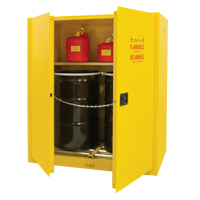 Safety Cabinets