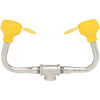 Eyewash 400 Series Dual Stream Head Assembly Les Distributions ICE
