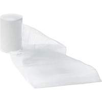 Dynamic Gauze Bandages, Roll, 15' L x 1" W, Sterile, Medical Device Class 1 Les Distributions ICE