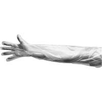Gants jetables, Grand, Poly&eacute;thyl&egrave;ne, 9 mils, Poudr&eacute;s, Transparent Les Distributions ICE
