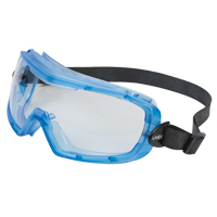 Uvex&reg; Entity Safety Goggles, Clear Lens, Anti-Fog, Indirect Vent Les Distributions ICE