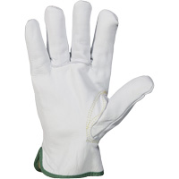 Gants r&eacute;sistant &agrave; la coupure et &agrave; l'arc &eacute;lectrique Endura, T-petit, 10" lo, 36 cal/cm², Niveau 3, NFPA 70E Les Distributions ICE