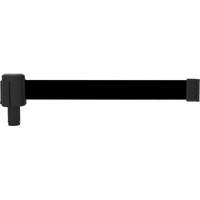 PLUS Banner Cassette, Blank, 15', Black Tape Les Distributions ICE
