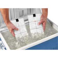 Chill-Its&reg; 6250 Phase Change Cooling Vest Packs Les Distributions ICE