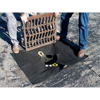 Storm Sentinel&reg; Catch Basin Insert, Sediment, 48" L x 36" W Les Distributions ICE