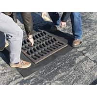 Storm Sentinel&reg; Catch Basin Insert, Sediment, 48" L x 36" W Les Distributions ICE