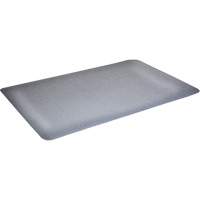 Tapis antimicrobiens WD Foodmaster, Lisse, 3' x 4' x 9/16", Gris, Nitrile/Caoutchouc Les Distributions ICE