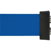 Wall Mount Barrier with Magnetic Tape, Steel, Screw Mount, 7', Blue Tape Les Distributions ICE