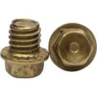 Replacement Brass Cleats for Midcleat Ice Cleats Les Distributions ICE