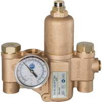 Robinet mitigeur thermostatique pour luminaires durgence Navigator EFX20, 30 gal./min Les Distributions ICE