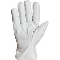 Gants de conducteur doubl&eacute;s pour l'hiver Endura, T-Grand, Paume en Cuir fleur de ch&egrave;vre, Thinsulate Les Distributions ICE