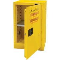 Armoire pour produits inflammables, 12 gal., 1 Porte(s), 23" La x 35" h x 18" p Les Distributions ICE