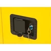 Armoire pour produits inflammables, 12 gal., 1 Porte(s), 23" La x 35" h x 18" p Les Distributions ICE