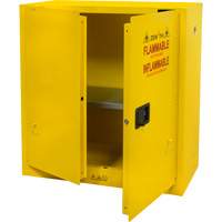 Armoire pour produits inflammables, 30 gal., 2 Porte(s), 43" La x 44" h x 18" p Les Distributions ICE