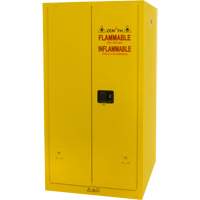 Flammable Storage Cabinet, 60 gal., 2 Door, 34" W x 65" H x 34" D Les Distributions ICE