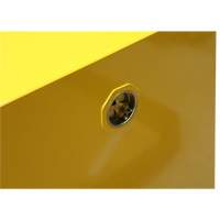 Armoire pour produits inflammables, 4 gal., 1 Porte(s), 17" La x 22" h x 18" p Les Distributions ICE