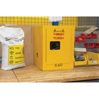 Armoire pour produits inflammables, 4 gal., 1 Porte(s), 17" La x 22" h x 18" p Les Distributions ICE