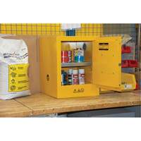 Armoire pour produits inflammables, 4 gal., 1 Porte(s), 17" La x 22" h x 18" p Les Distributions ICE