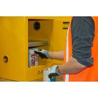 Armoire pour produits inflammables, 4 gal., 1 Porte(s), 17" La x 22" h x 18" p Les Distributions ICE