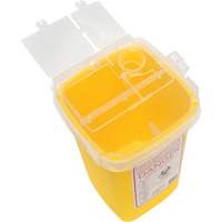 Sharps Container, 1 L Capacity Les Distributions ICE