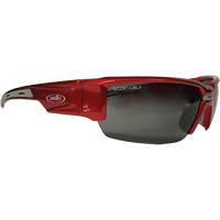 Lunettes de s&eacute;curit&eacute; Hartley, Lentille Gris, Polaris&eacute;, R&eacute;pond ou surpasse la norme CSA Z94.3 Les Distributions ICE