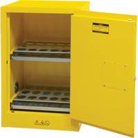 Armoire de rangement pour a&eacute;rosols inflammables, 12 gal., 1 Porte(s), 23" La x 35" h x 18" p Les Distributions ICE